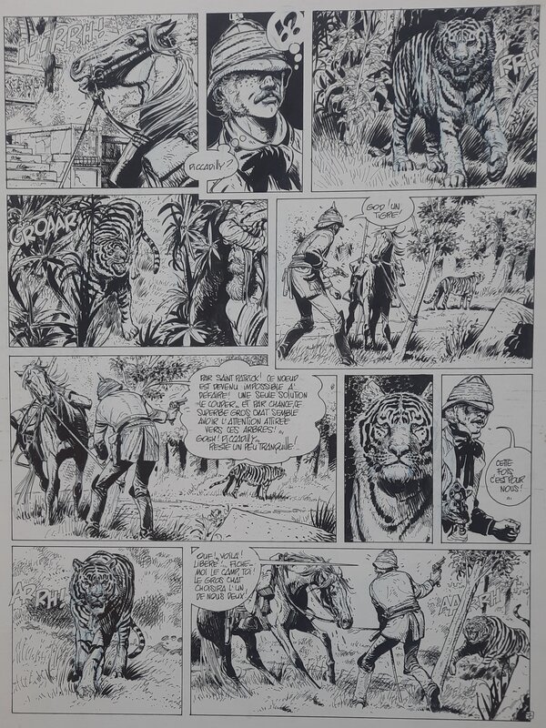 Franz, Une hongroise au Pendjab - Comic Strip