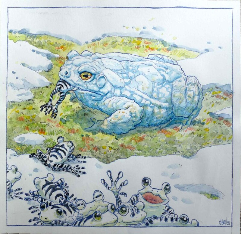 For sale - Crapaud des Glaces by A.DAN - Original Illustration