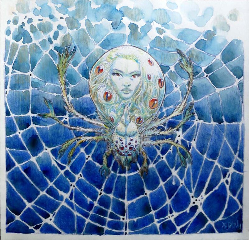 En vente - Araignée Rêve par A.DAN - Illustration originale