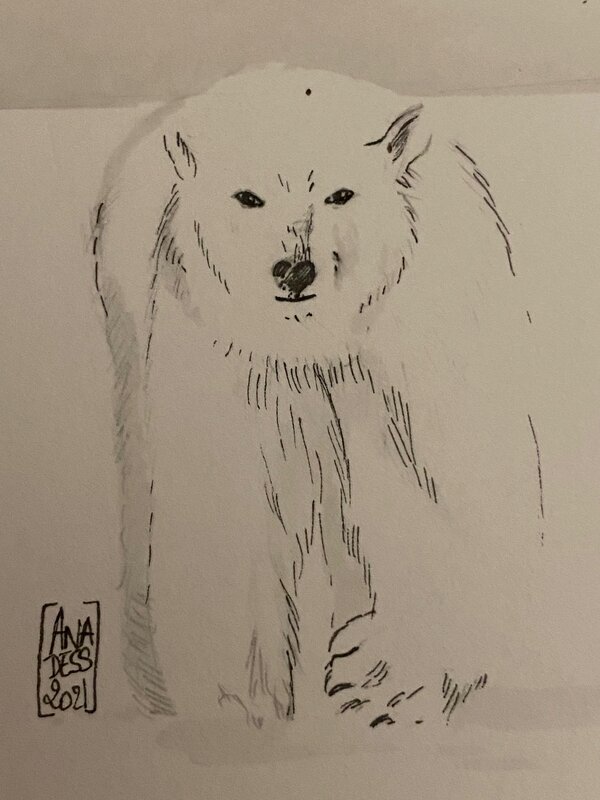 Ana Dess, illustration originale, Ours polaire. - Planche originale