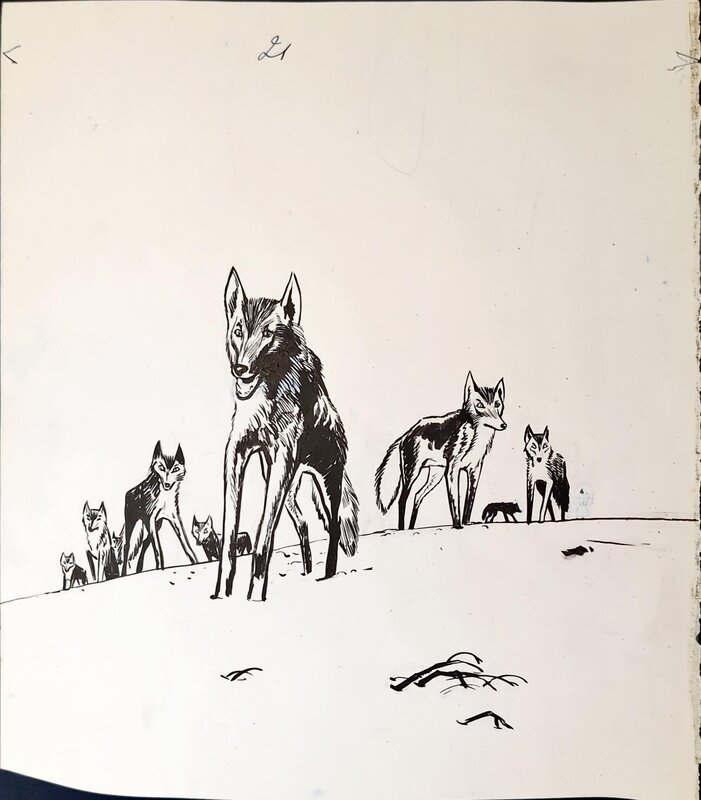 Jijé, Jerry Spring Tome 6 : La piste du grand nord, quatrième de couverture - Original Cover