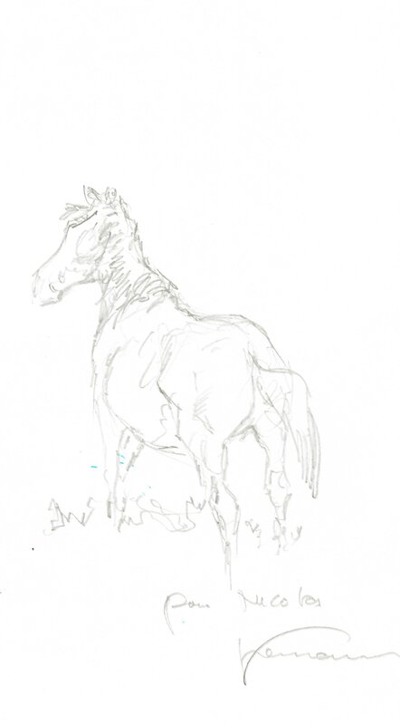 Un cheval by Hermann - Sketch