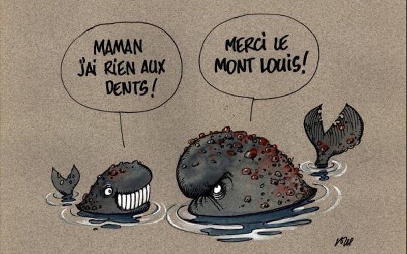 Jean-Jacques Loup, Le sel fluoré remède contre le fléau de la carie (Dentiste) - Original Illustration