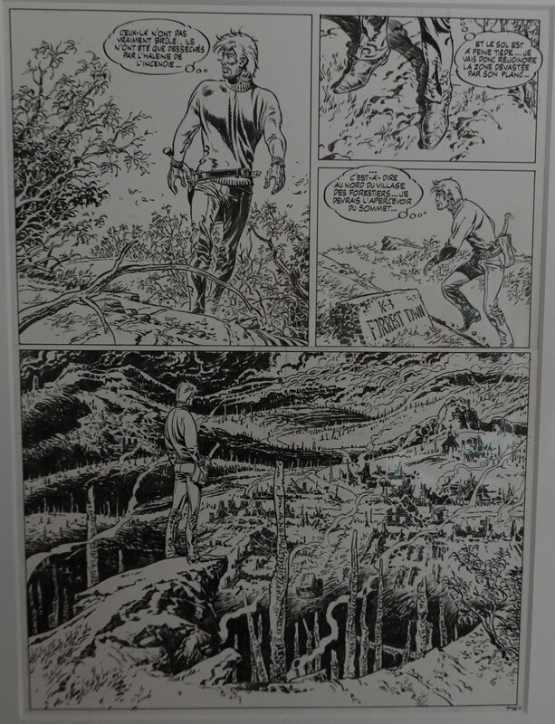 Bernard Prince par Hermann - Planche originale
