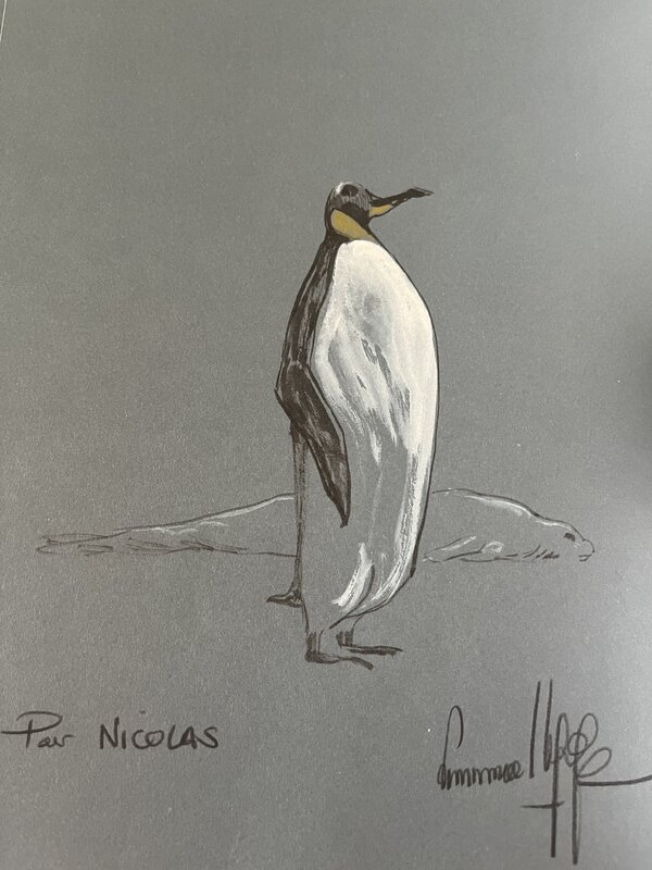 Emmanuel Lepage, Les iles de la desolation - Sketch
