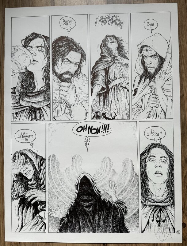 Philippe Delaby, Complainte des landes perdues - Comic Strip