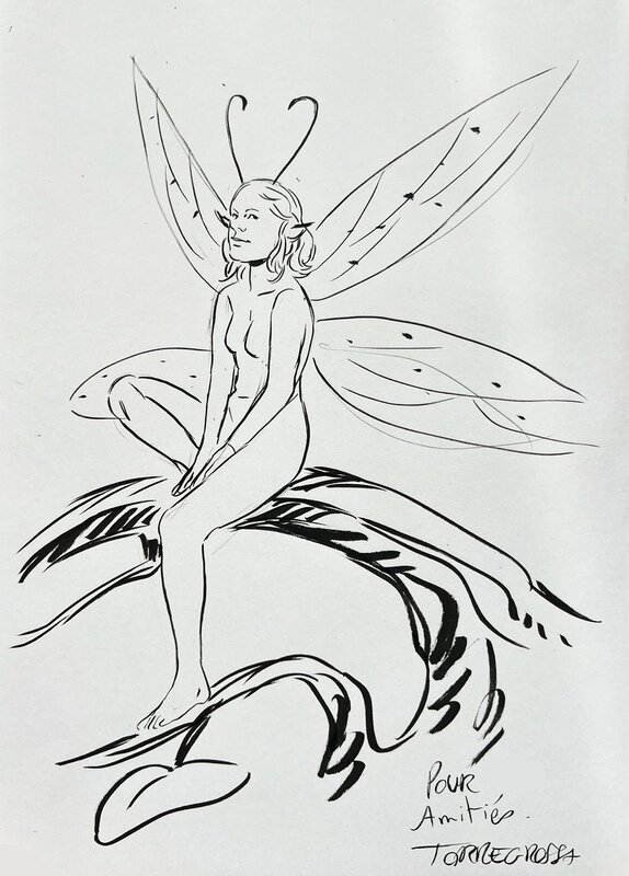 Triskell (tome 4) by Rémi Torregrossa, Audrey Alwett - Sketch