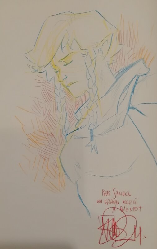 Elfes Tome 22 by Benoit Dellac - Sketch