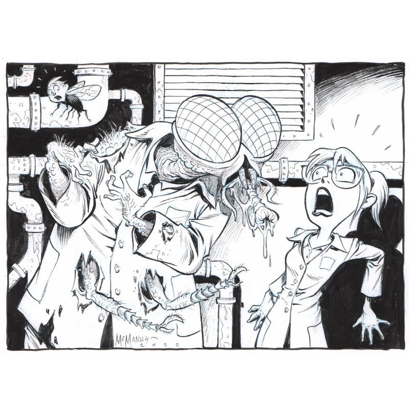 The Fly par Shawn McManus - Illustration originale