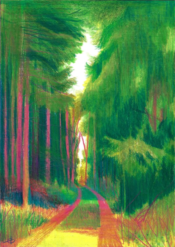 Laurent Bonneau, Déambulations - Couverture originale - Couverture originale