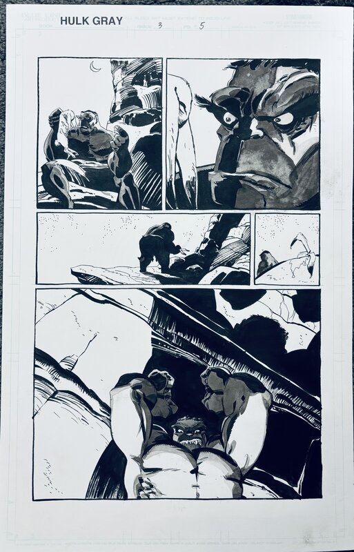 Tim Sale - Hulk Gray - issue 3, page 5 - Planche originale