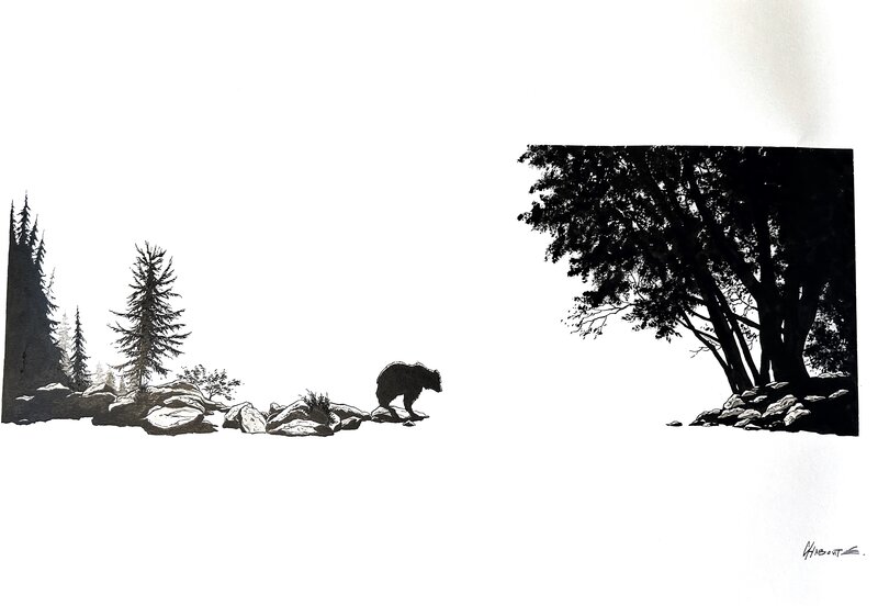 Ours en Alaska by Christophe Chabouté - Original Illustration