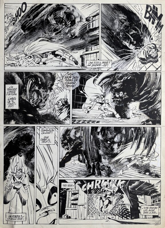 Arthur Qwak, Gilles Gonnort, Asylüm, Le soleil des Loups - Le creuset de la douleur - Planche originale