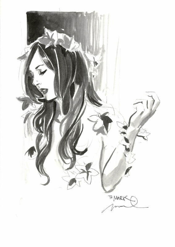 Poison Ivy par Gérald Parel - Illustration originale