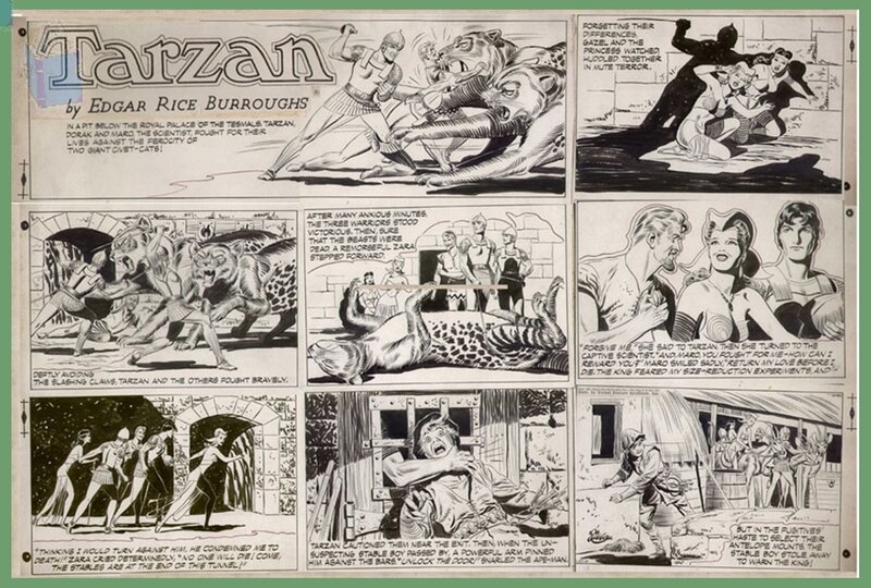 Bob LUBBERS  - TARZAN Sunday Page  30-25-1951 - Comic Strip