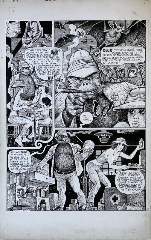 Georges Pichard, Danie Dubos, Planche 17 du Tome 1 de Bornéo Jo - Comic Strip