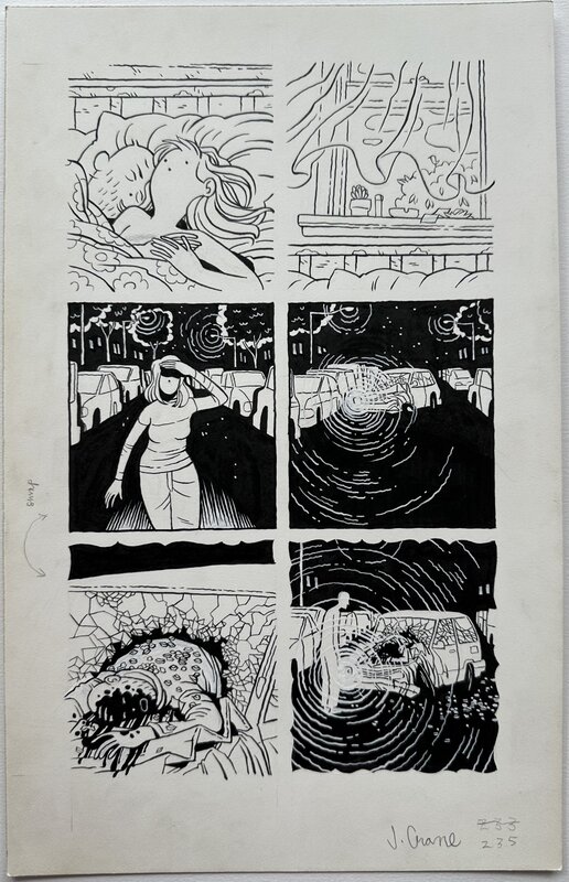 Jordan Crane, Keeping Two - p235 - Dreamed of Disasters - Comic Strip
