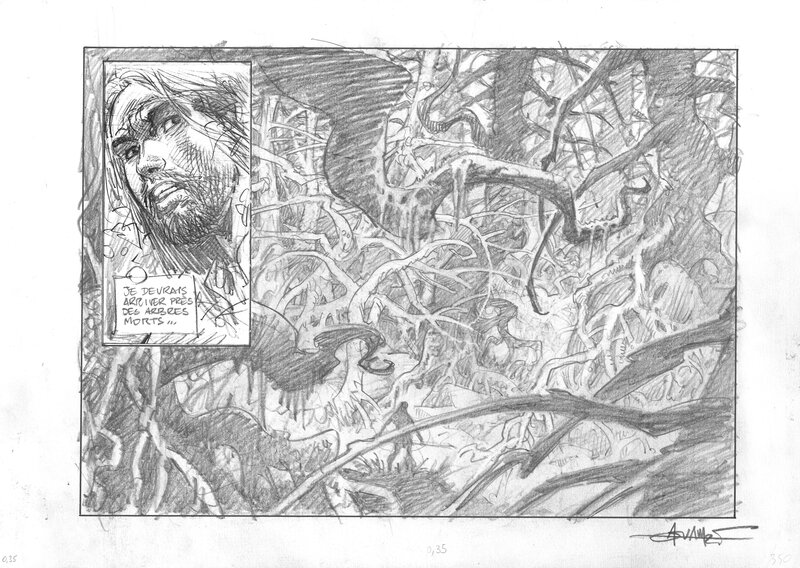 En vente - Saga Valta par Mohamed Aouamri - Illustration originale