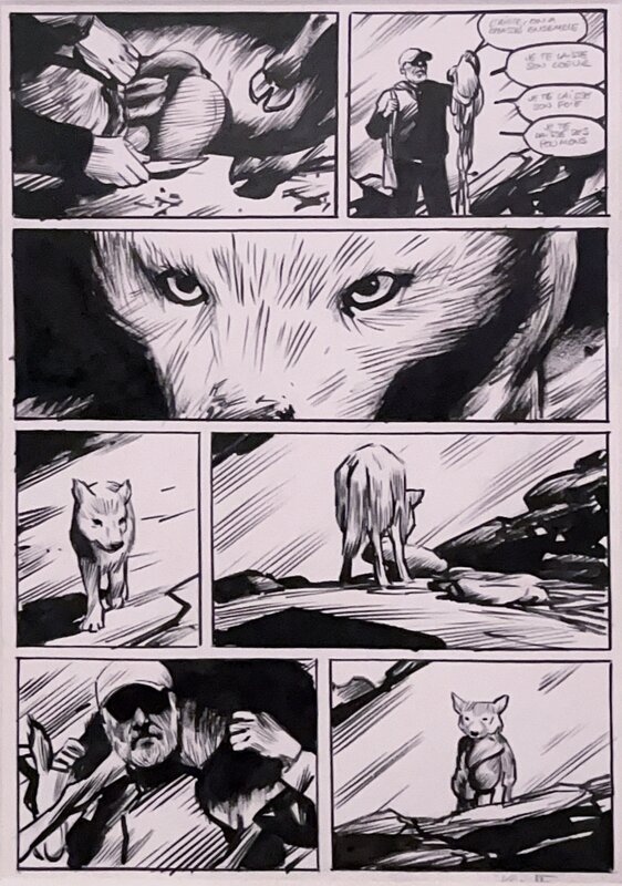 Planche Originale Le Loup de Rochette - Comic Strip