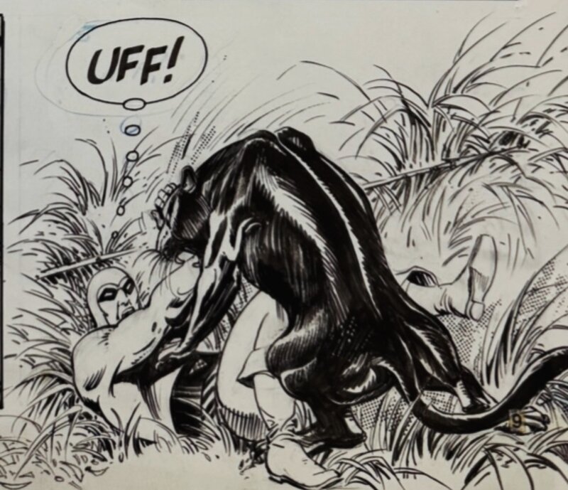 César Spadari, Phantom original art - Comic Strip
