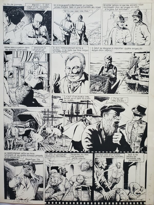 Michel Schetter, LES SINGES DE GIBRALTAR - Planche originale