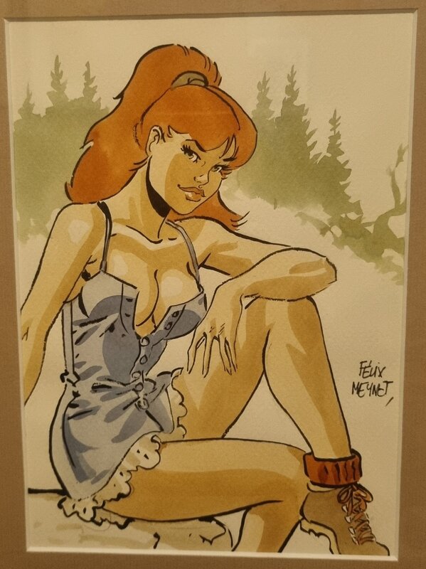 Dessin original by Félix Meynet - Comic Strip