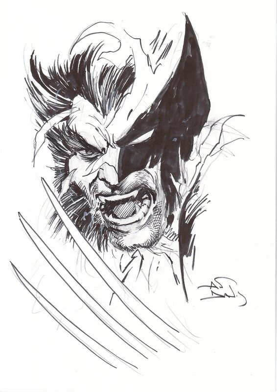 Beserk Wolverine by Alan Davis - Sketch