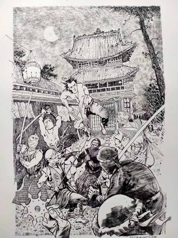 For sale - Ninja assassins by Davide Garota - Original Illustration