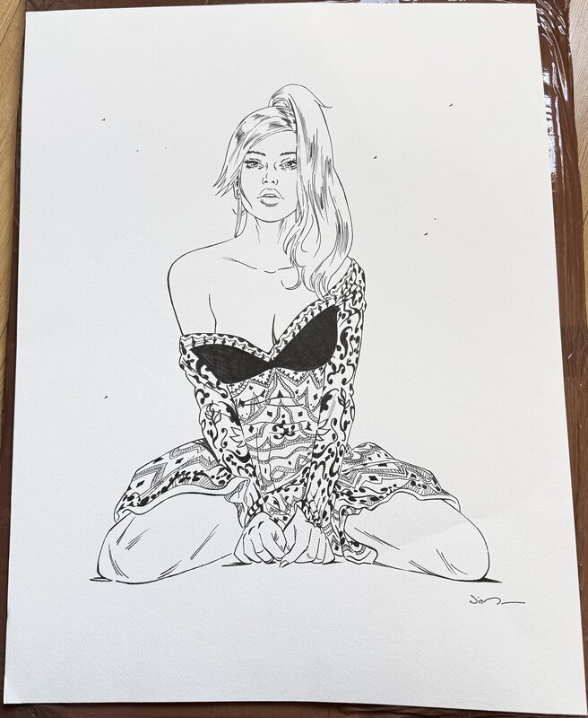 Jim, Zoé Carrington #2 - couverture (grand format) - Original Cover