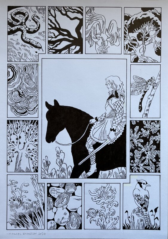 Shorjian - Adieu mon royaume - Comic Strip