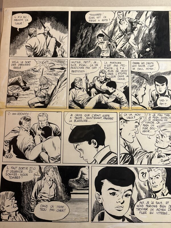 Tiger Joe by Gérald Forton - Comic Strip
