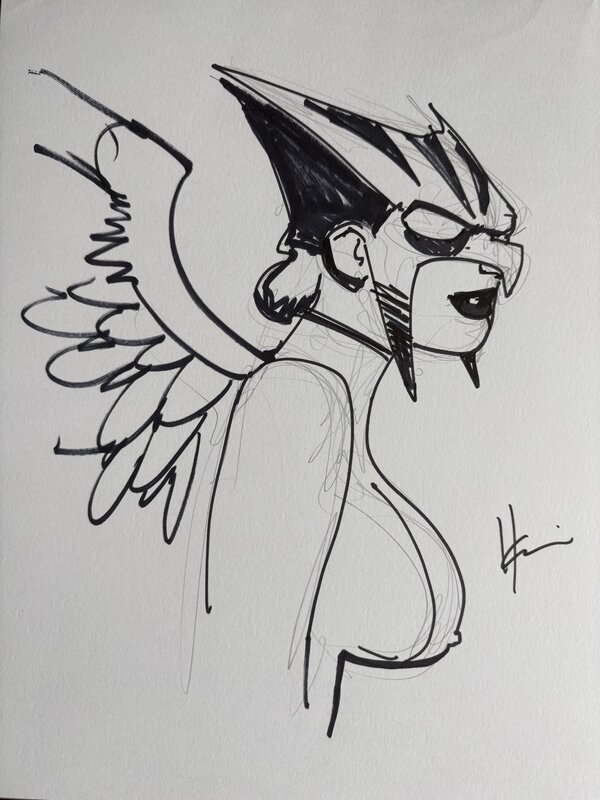 Howard Chaykin, Hawkgirl (Kendra Saunders) - Dédicace