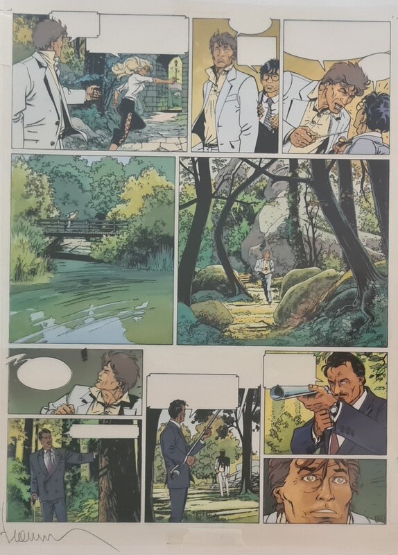 Largo Winch by Philippe Francq - Comic Strip