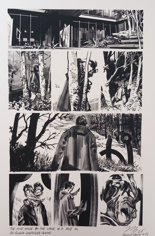 Alvaro Martinez, The nice house on the lake - Original Illustration