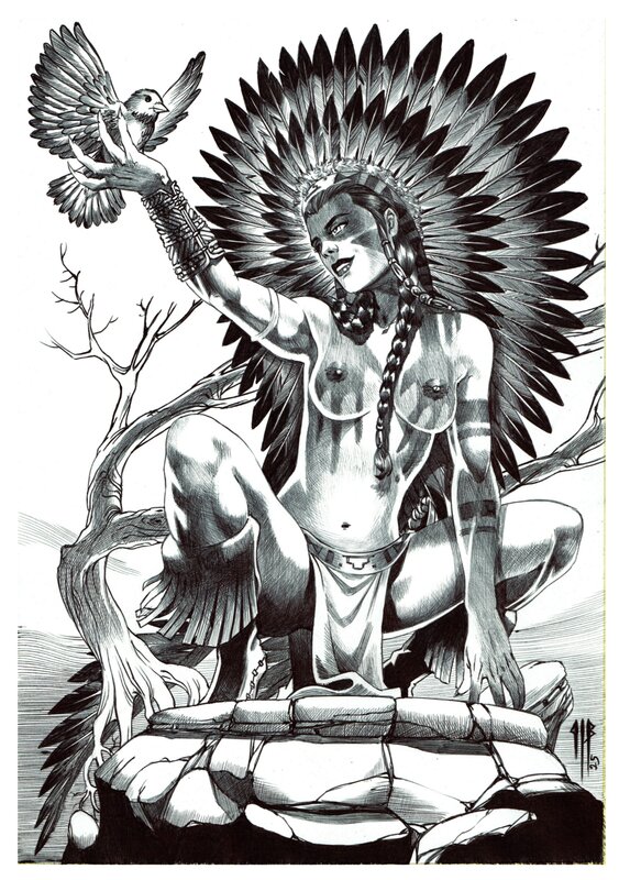 En vente - Philippe Bringel, L'indienne et l'oiseau - Illustration originale