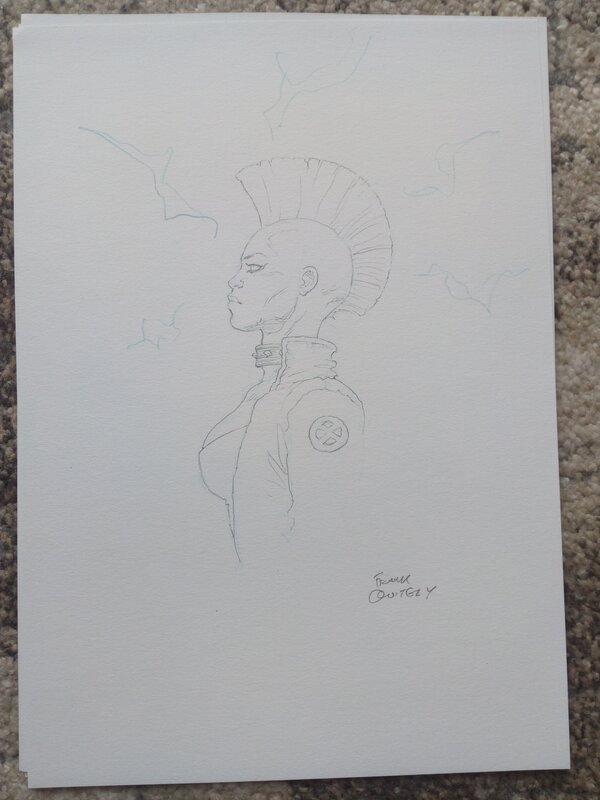 For sale - X-Men punk storm / frank quitely - Comic Strip