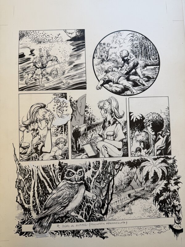 Towards the Zambesi by César Spadari, Victor Mora - Comic Strip