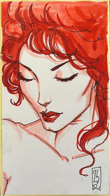 Shikishi - Olivier Ledroit - Original Illustration