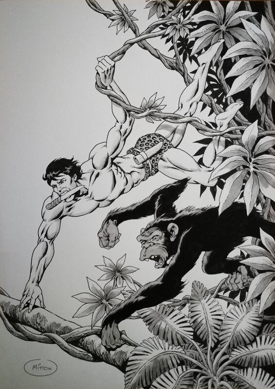 Tarzan by Jean-Yves Mitton - Original Illustration