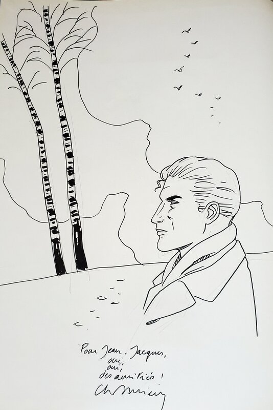 Christian Durieux, AVEL  T3 LE THEME DE CAMILLE - Sketch