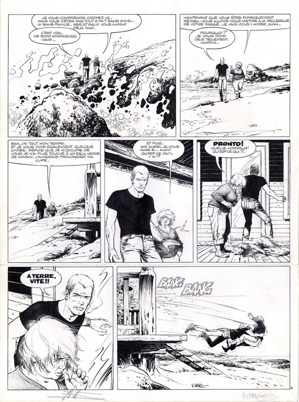 William Vance, Jean Van Hamme, XIII - Le jour du soleil noir - Comic Strip