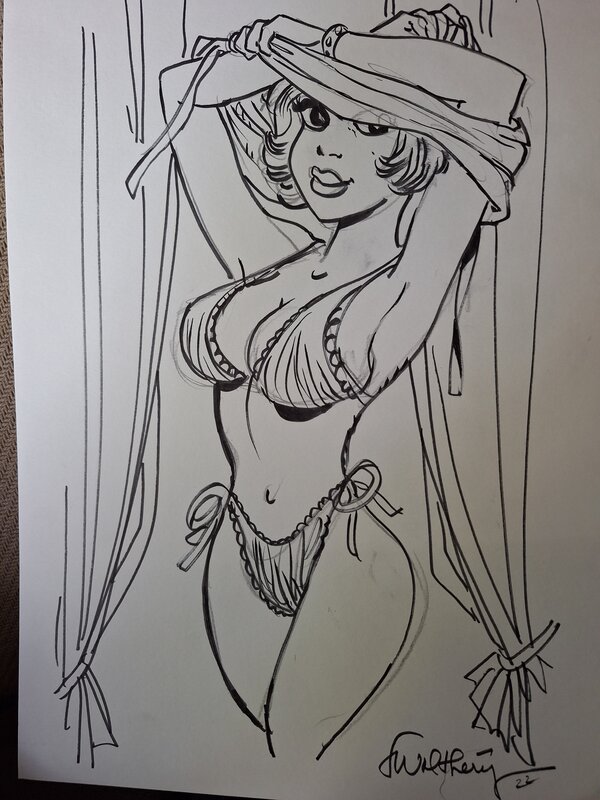 For sale - François Walthéry, Natacha se déshabille - Original Illustration