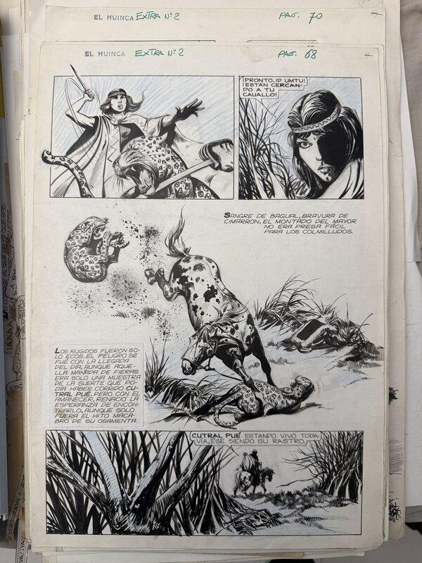 César Spadari, Mayor Laguna yaguarete - Planche originale