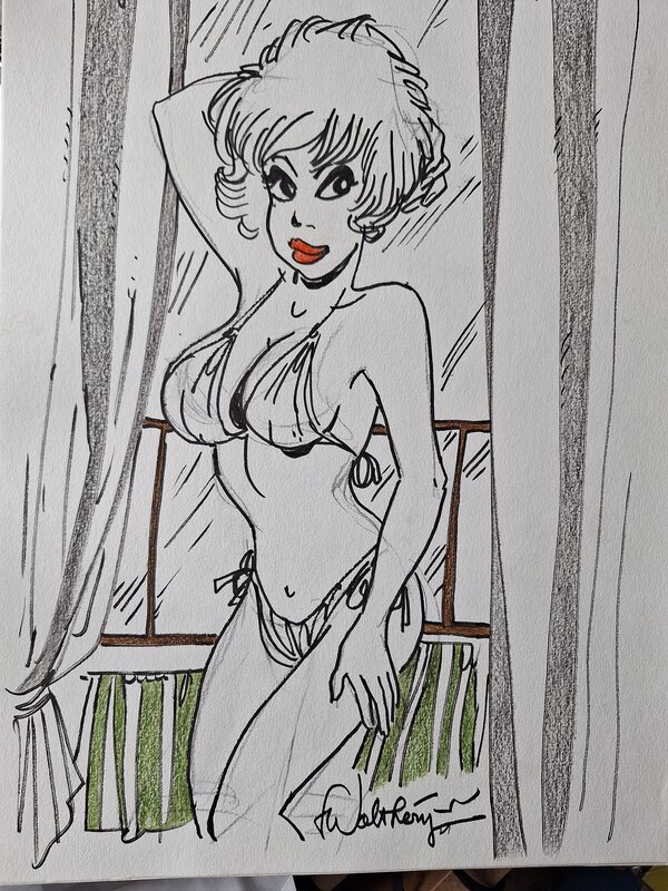 Natacha en bikini par François Walthéry - Planche originale