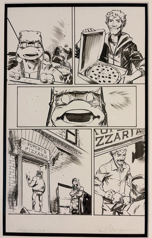 Tortue Ninja par Dan Duncan - Planche originale