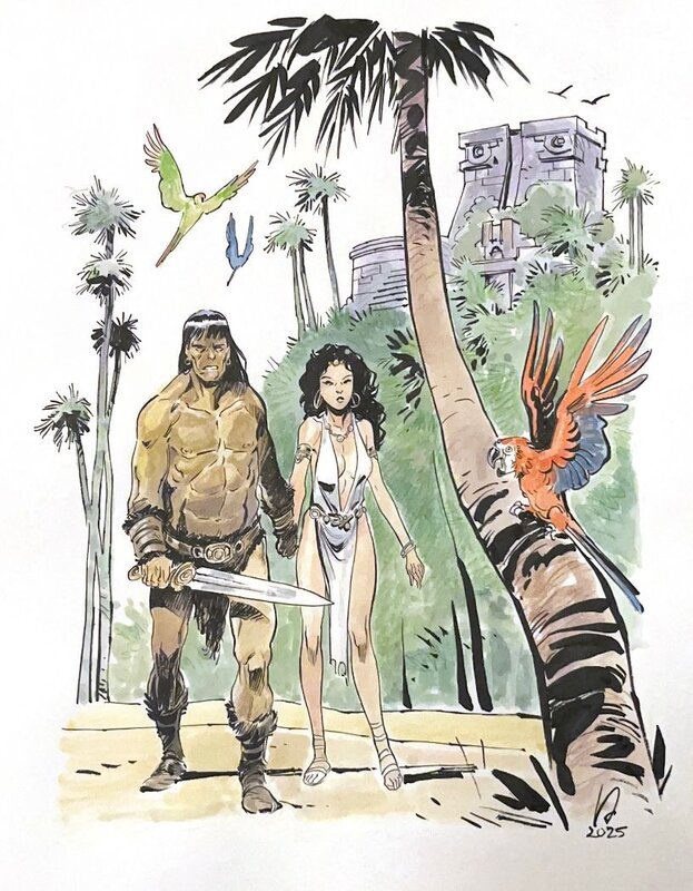 Virginie Augustin, Conan schaduwen in het maanlicht - Planche originale