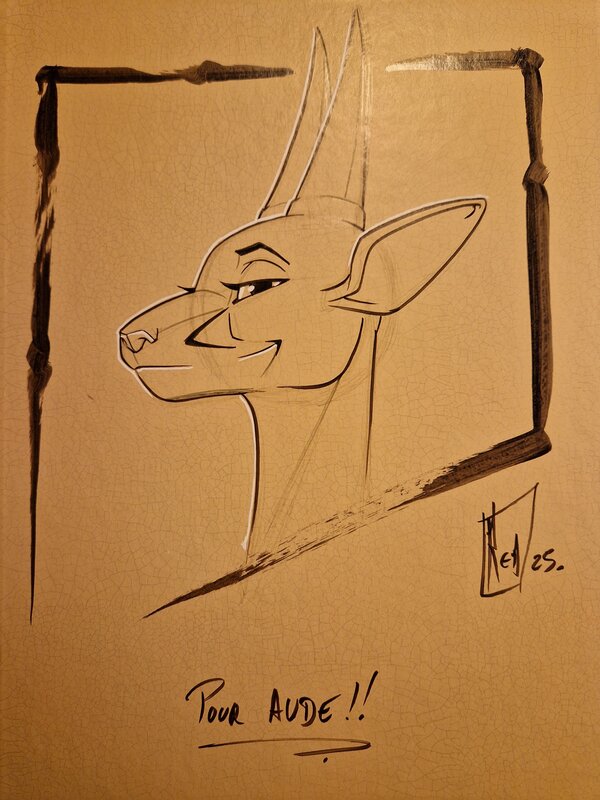 Dédicace de Redec dans le royaume sans nom tome 2 - Sketch