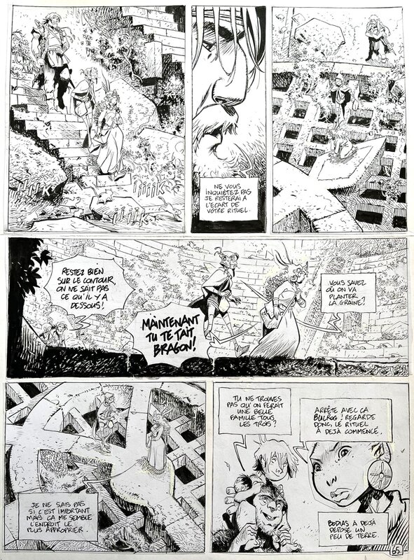 Vincent Mallié, Régis Loisel, La Quête de l'Oiseau du Temps - Tome 8 - Malliè - L'Omégon - Planche originale