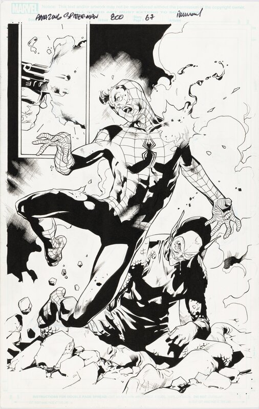 Stuart Immonen, Wade Von Grawbadger, Amazing Spider-Man #800 - Original Illustration