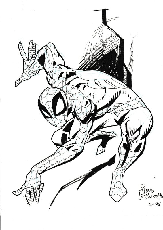 Spiderman by Steve Leialoha - Original Illustration
